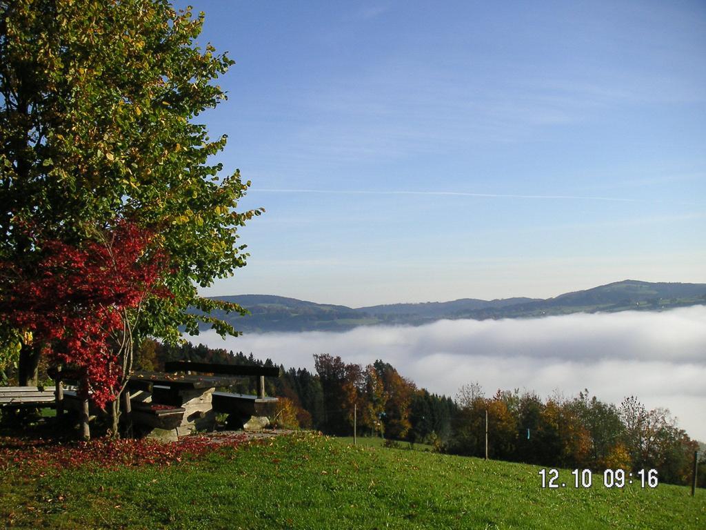 Hochsernerhof Hotel Tiefgraben Екстериор снимка